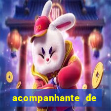 acompanhante de luxo baixada fluminense