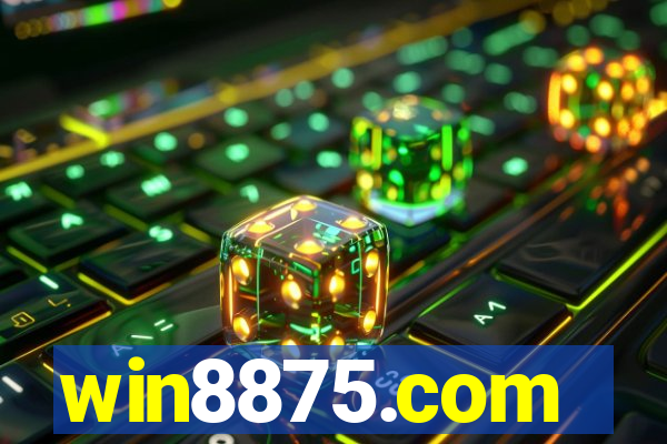 win8875.com