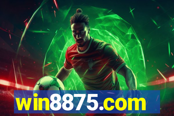 win8875.com