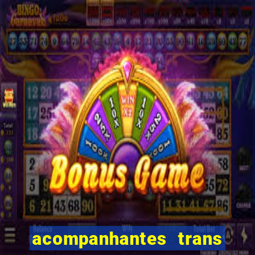 acompanhantes trans porto seguro