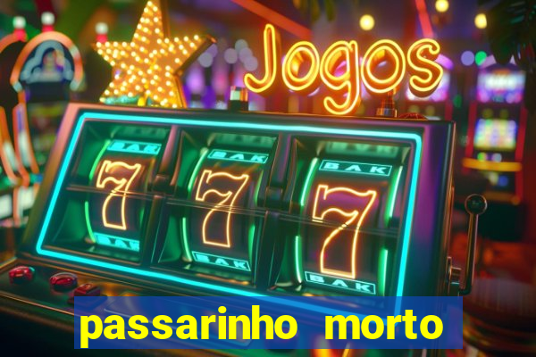 passarinho morto significado espiritual