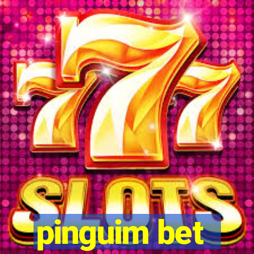 pinguim bet