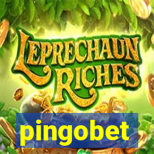 pingobet