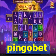 pingobet