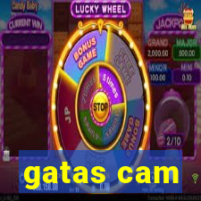 gatas cam