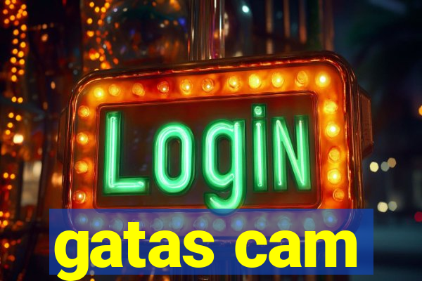 gatas cam