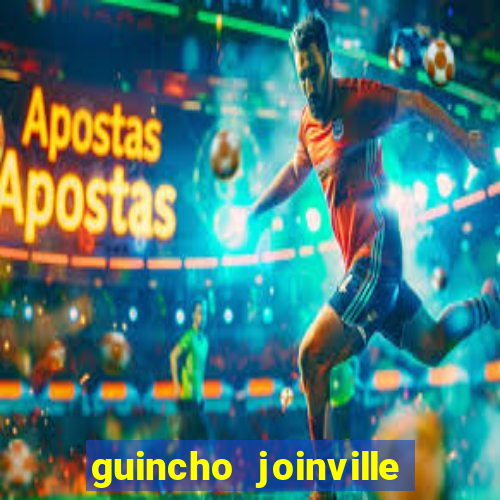 guincho joinville vila nova