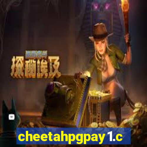 cheetahpgpay1.com
