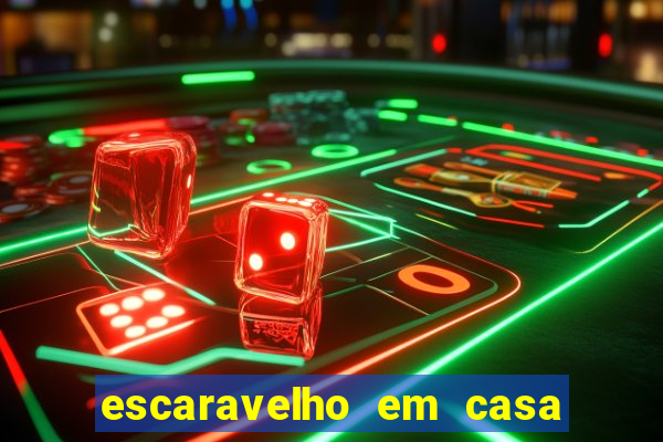 escaravelho em casa significado espiritual