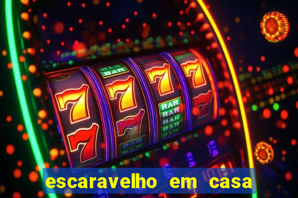 escaravelho em casa significado espiritual