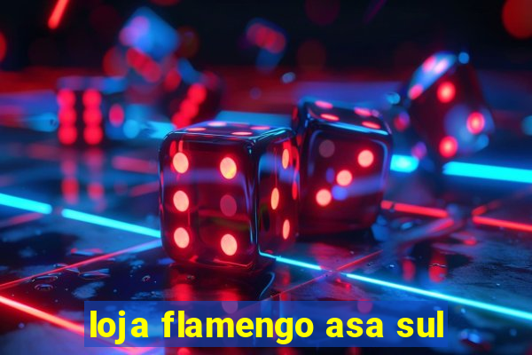 loja flamengo asa sul