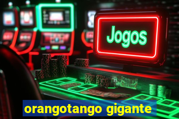 orangotango gigante