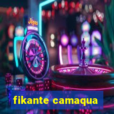fikante camaqua