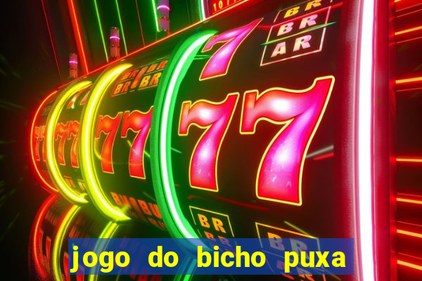 jogo do bicho puxa de dona maria