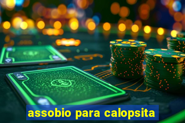 assobio para calopsita