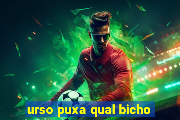 urso puxa qual bicho