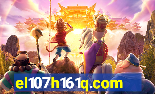 el107h161q.com