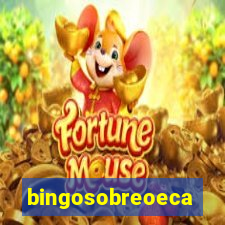 bingosobreoeca