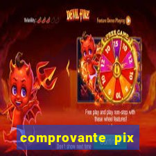 comprovante pix fake meme