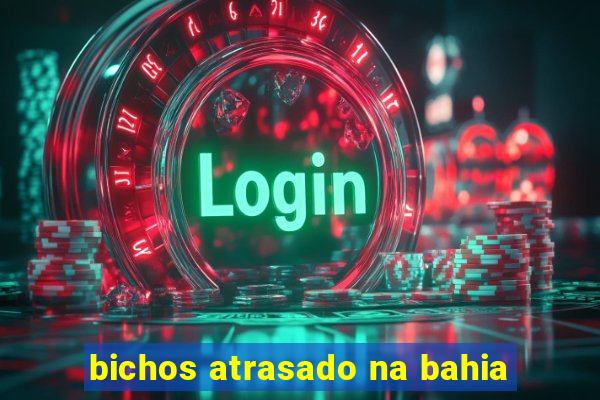 bichos atrasado na bahia