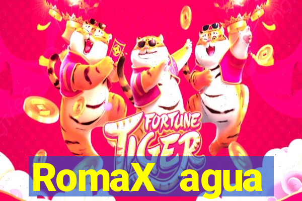 RomaX agua sanitaria fispq agua sanitaria romax