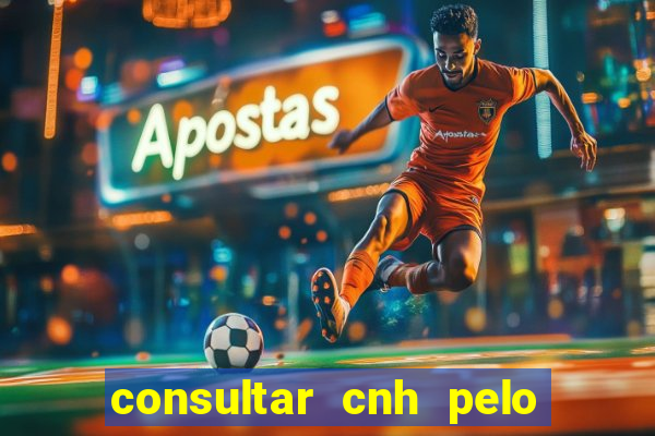 consultar cnh pelo cpf sp