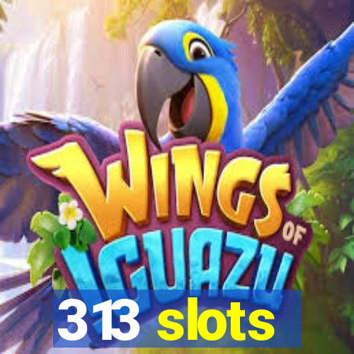 313 slots