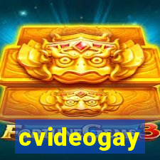 cvideogay