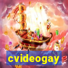 cvideogay