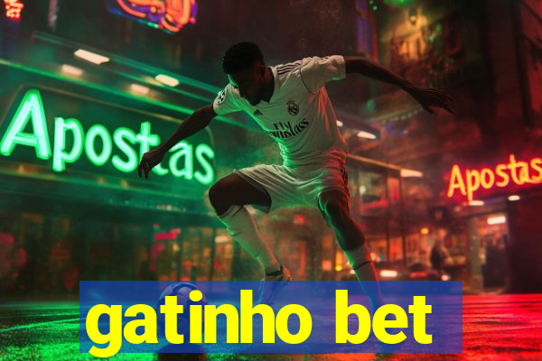 gatinho bet
