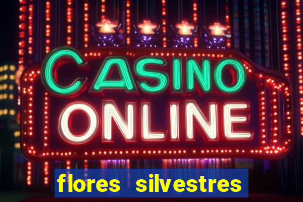 flores silvestres desbravadores desbravadores 25 flores silvestres e seus nomes