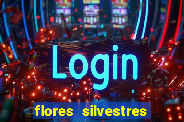 flores silvestres desbravadores desbravadores 25 flores silvestres e seus nomes