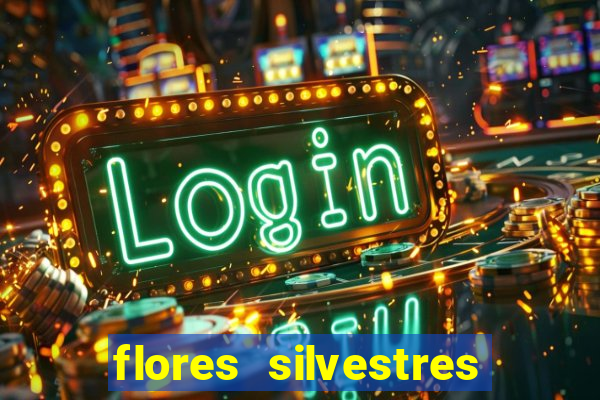 flores silvestres desbravadores desbravadores 25 flores silvestres e seus nomes