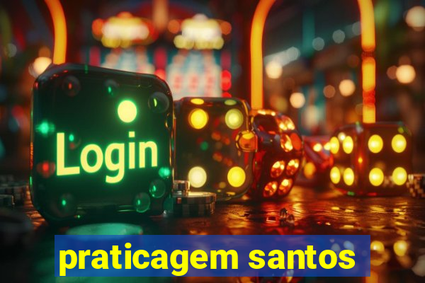 praticagem santos