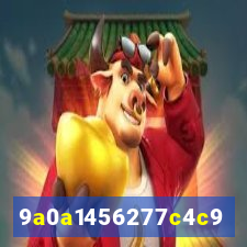 559 bet com