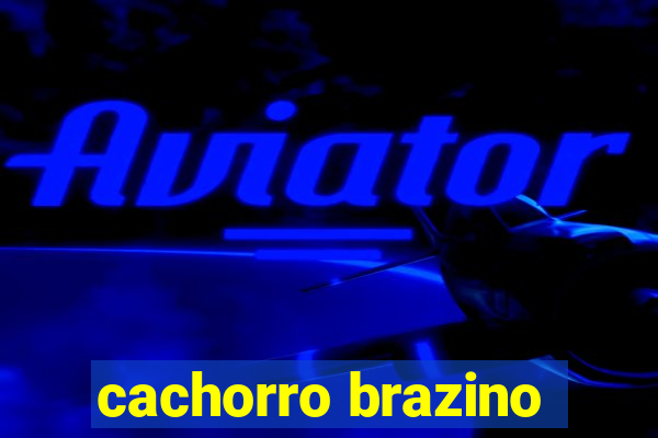 cachorro brazino