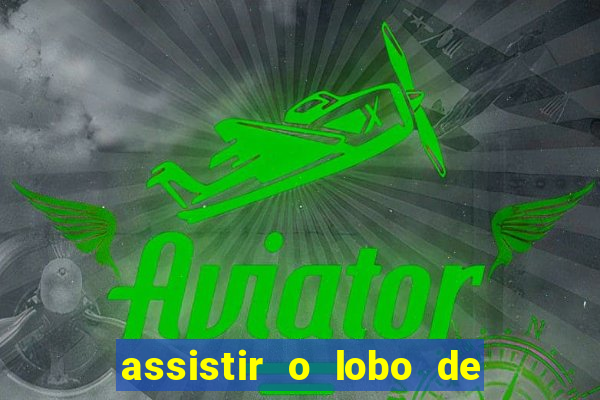 assistir o lobo de wall street gratis