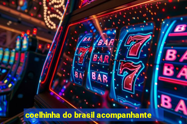 coelhinha do brasil acompanhante