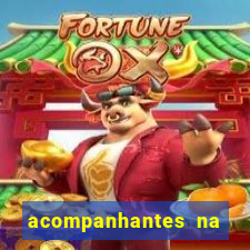 acompanhantes na vila nova cachoeirinha sp
