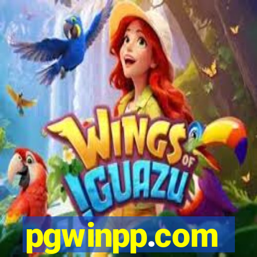 pgwinpp.com