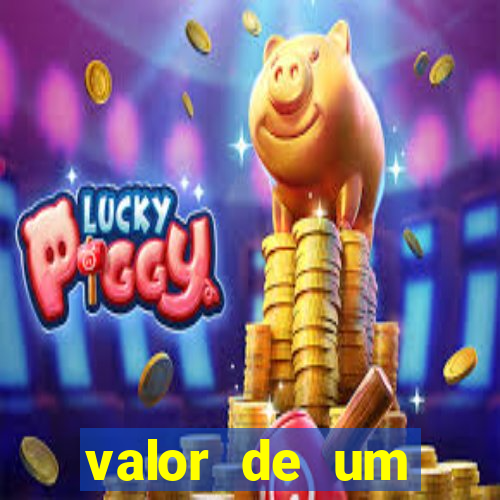 valor de um container usado