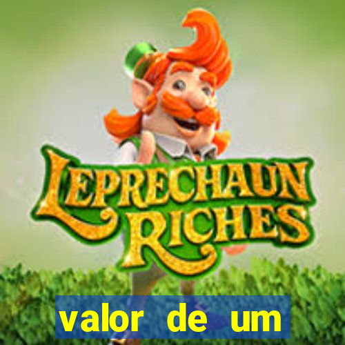 valor de um container usado