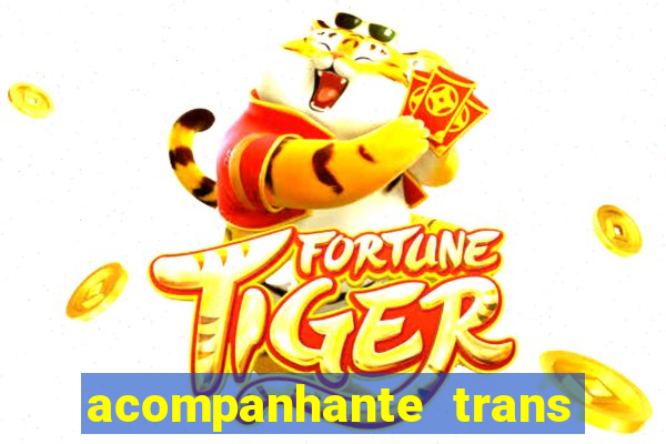 acompanhante trans porto seguro