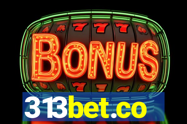 313bet.co