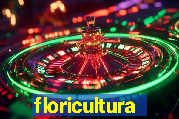 floricultura juazeiro bahia