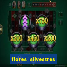flores silvestres desbravadores desbravadores 25