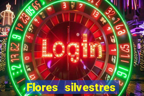 Flores silvestres brasileiras brasileiras flores silvestres nomes e imagens