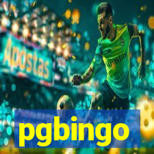 pgbingo
