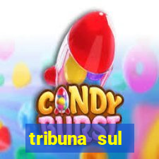 tribuna sul fluminense volta redonda