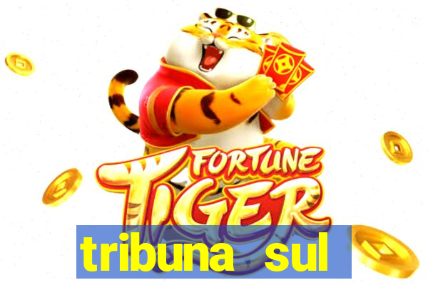 tribuna sul fluminense volta redonda